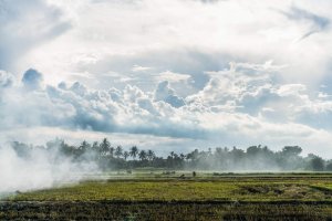 Amanoi Vietnam Local Village – weite Landschaft nahe lokaler Dörfer mit Morgennebel, Wolkenstimmung und grünen Feldern | nova-reisen