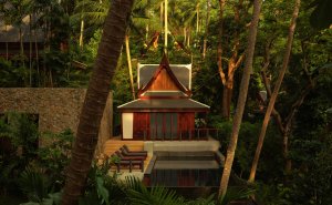Amanpuri Thailand Spa House – Pool im Wellnessbereich, eingebettet in tropische Vegetation mit ruhiger Atmosphäre | nova-reisen