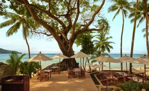 Amanpuri Thailand Beach Terrace – Restaurantterrasse am Strand unter großem Baum mit Meerblick und Schatten | nova-reisen