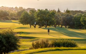 Golf Zypern – Aphrodite Hills Golfplatz PGA National Cyprus mit satten Fairways und mediterraner Landschaft | nova-reisen