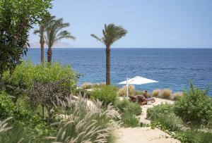 Lifestyle Bereich mit Palmen und Pool – Exklusive Resort-Erlebnisse