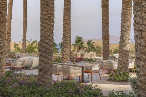 Zitouni Outdoor Dining unter Palmen mit Meerblick – Exklusive Ägyptenreise
