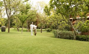 traumhafter garten im oberoi rajvilas resort in jaipur indien