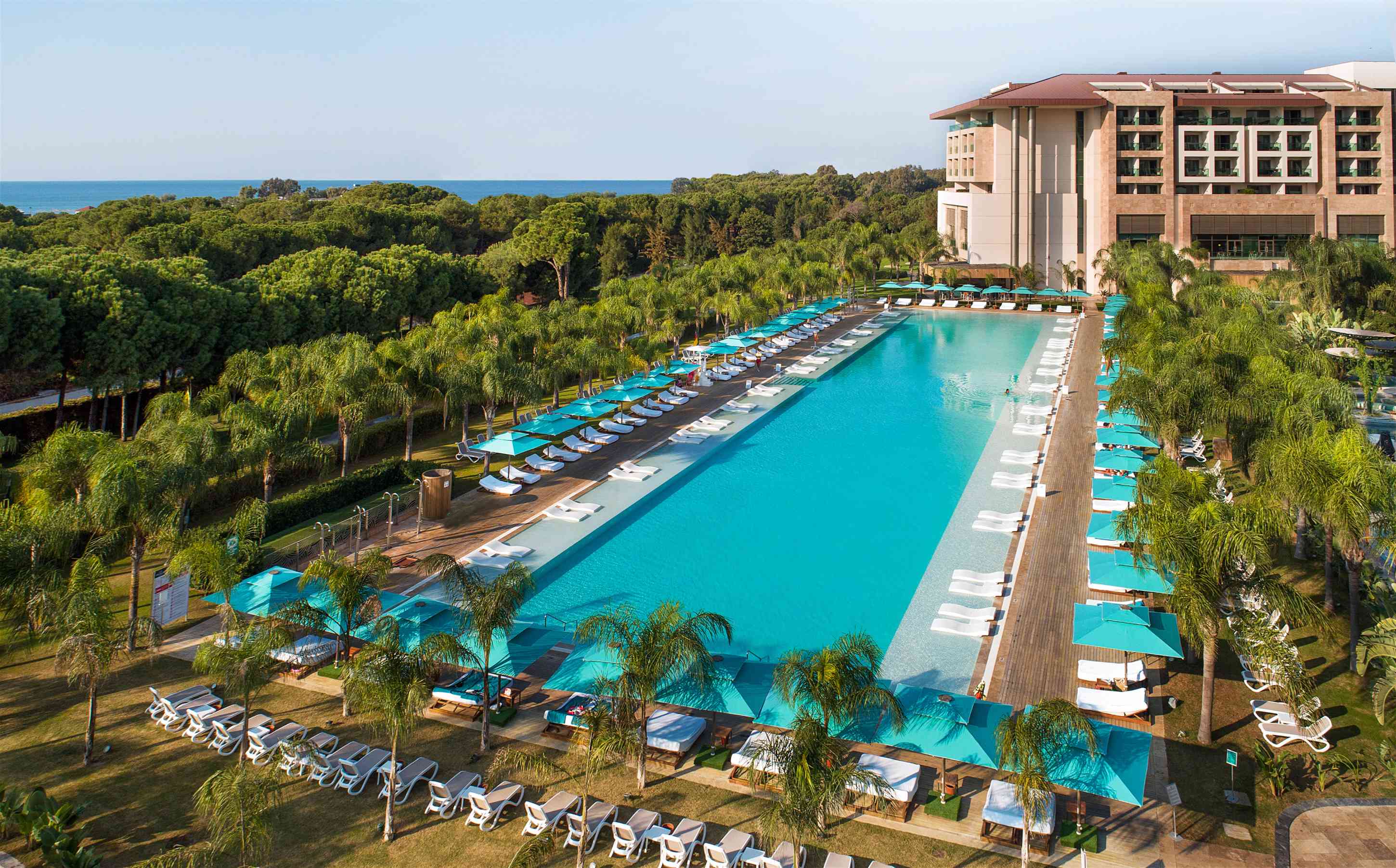 Regnum Carya