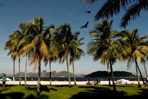 traumhafte palmen am strand im relais & chateaux santa teresa luxus hotel in rio de janeiro brazilien 