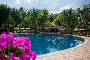 pool mit lila blume davor und palmen daneben im modernen und luxuriösen designer hotel und resort santiburi auf koh samui in thailand asien