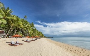 sauberer sandstrand am blauen meer mit palmen vom modernen und luxuriösen designer hotel und resort santiburi auf koh samui in thailand asien