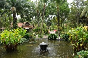 gartenteich mit fischen und einem brunnen im dschungel zwischen palmen vom modernen und luxuriösen designer hotel und resort santiburi auf koh samui in thailand asien
