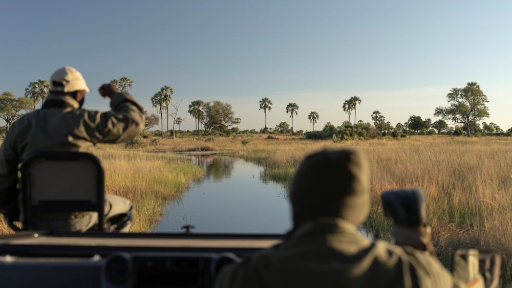 Singita Elela