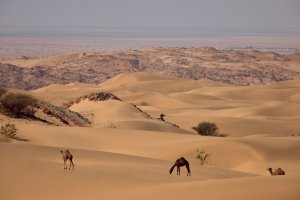 Six Senses Southern Dunes, The Red Sea