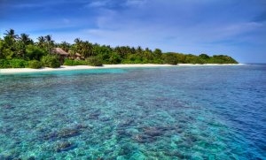atemberaubender blick auf das jungle reserve auf den malediven im soneva fushi resort 