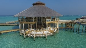 im The gathering werden sie kulinarisch verwoehnt, soneva jani resort, noonu atoll, malediven