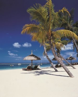 weisser traumstand und palmen im the oberoi luxus resort auf mauritius