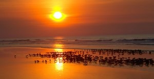 romantischer sonnenuntergang the sanctuary at kiawah island in den usa south carolina 