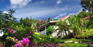 idyllischer garten im ti kaye luxus resort in st. lucia karibik